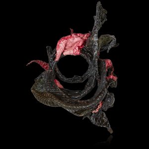 Pink and black Medusa - 2018