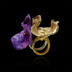 Encounter of Two Pansies - 2011