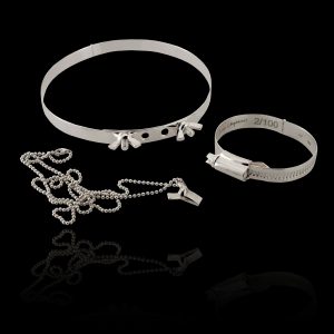 Wingnut and Bolt Chocker Jubilee Clip - 2010