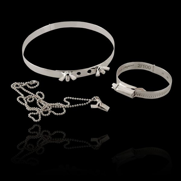 Wingnut and Bolt Chocker Jubilee Clip - 2010