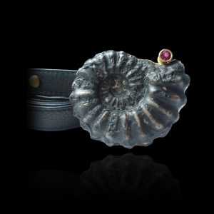 Medusa - 2011