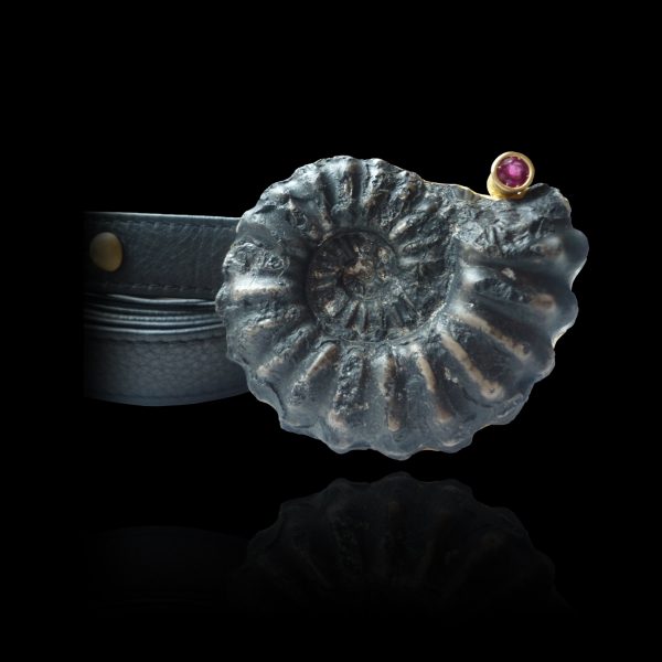 Medusa - 2011