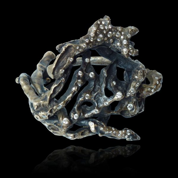 Thalasa's Reef - 2011