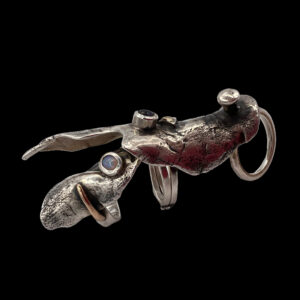 Concari : Cardinali articolazione